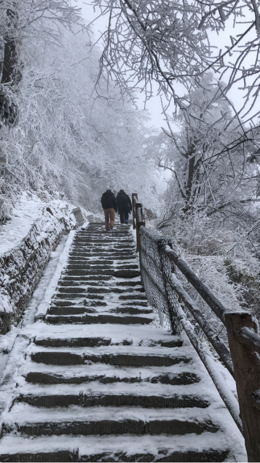 國鑫睿誠基金年度游之勇登峨眉之巔S164.png